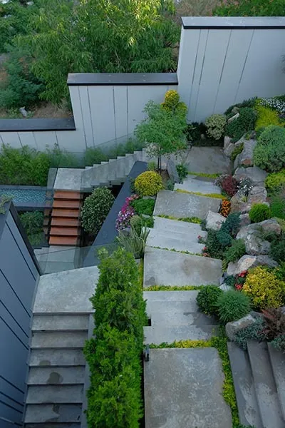 Afra House — 11