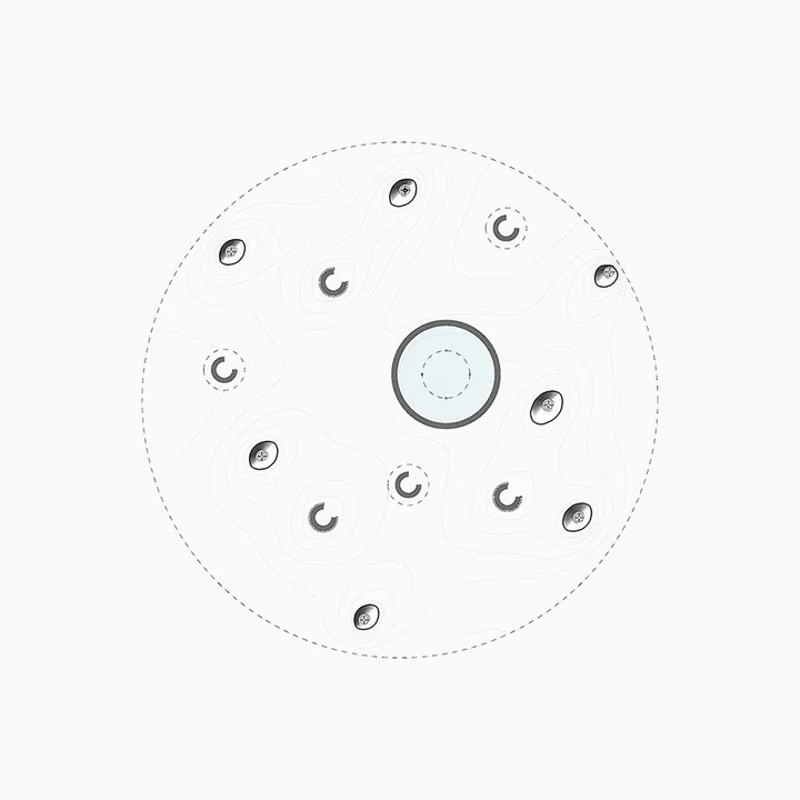 The Amoeba — 8